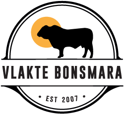 Vlakte-Bonsmara-Logo